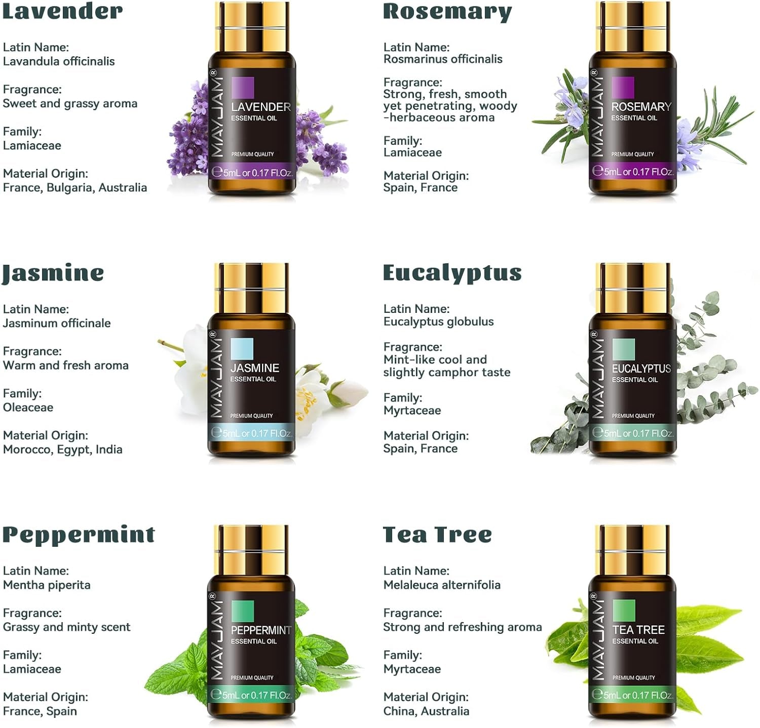 Essential Oils Set 35 X 5 Ml - Essential Oils Gift Set for Humidifier, Diffusers, Home, DIY
